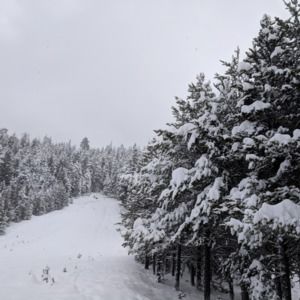 Meet your Posher, Ida